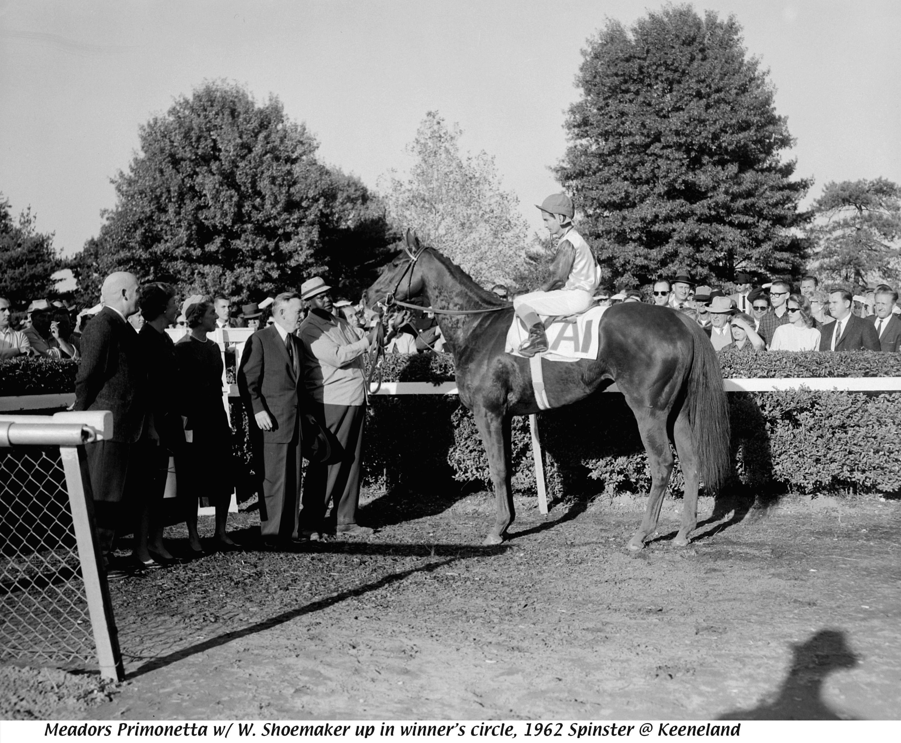 Primonetta, 1962 Spinster, Keeneland Library, Meadors Collection